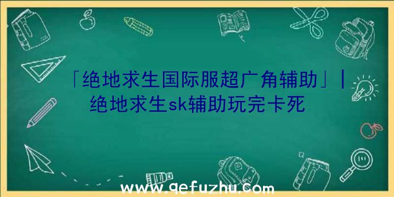 「绝地求生国际服超广角辅助」|绝地求生sk辅助玩完卡死